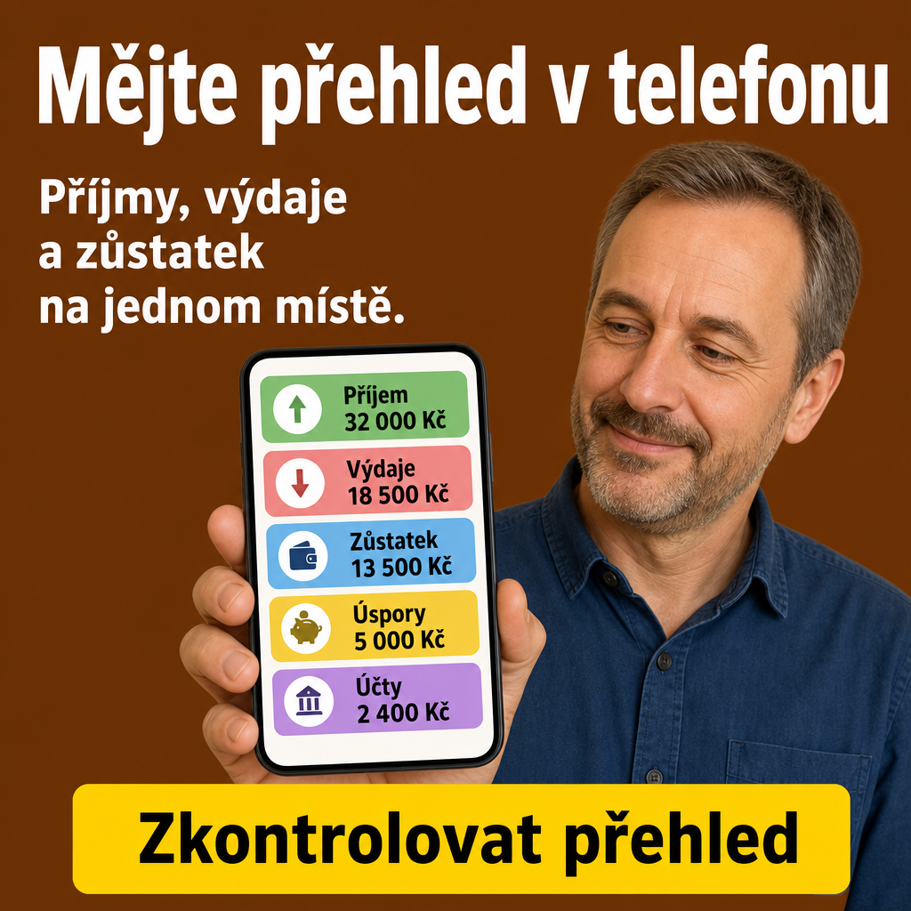 osoba kontroluje finance na telefonu