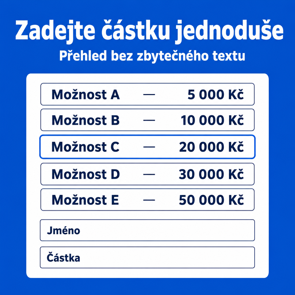 čistý finanční formulář