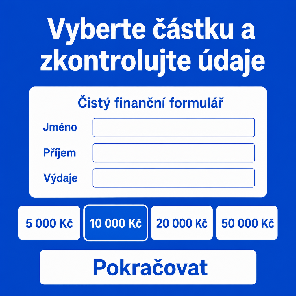 čistý finanční formulář