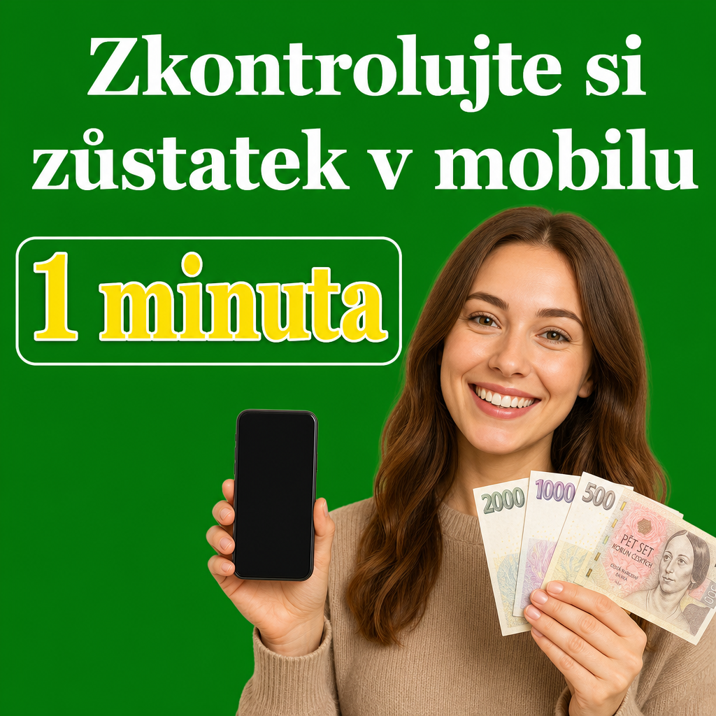 Osoba s mobilem a penězi