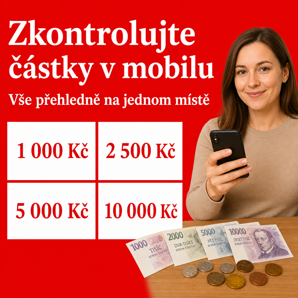 Osoba s mobilem a penězi