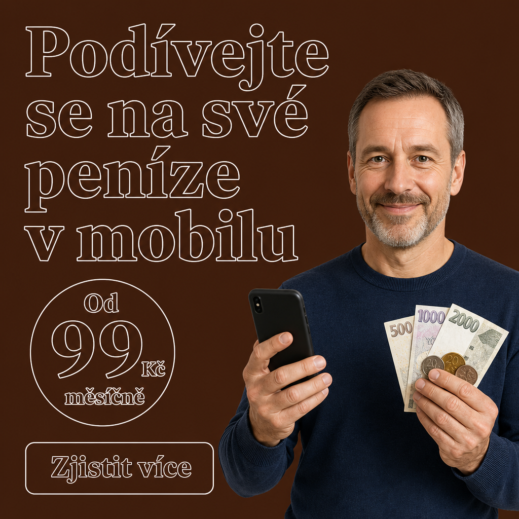 Osoba s mobilem a penězi