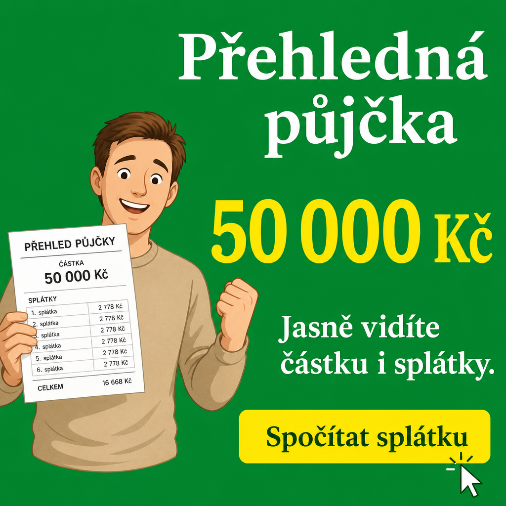 Osoba s přehlednou půjčkou