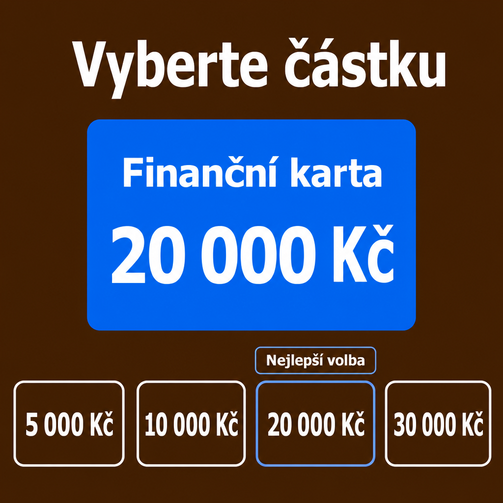modrá finance karta s částkou
