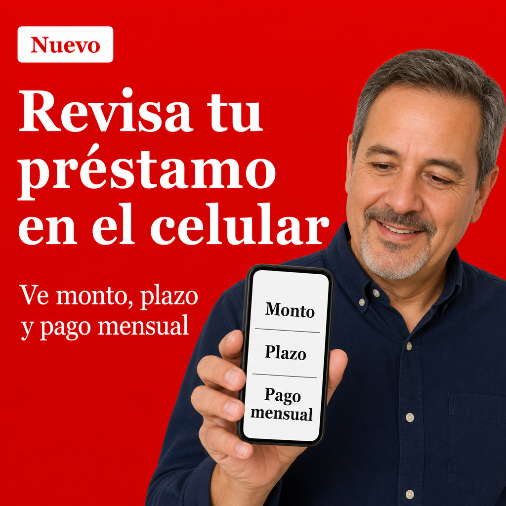 persona revisando préstamo en el celular