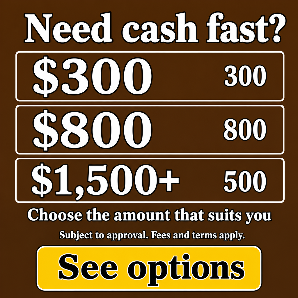 Small cash loan in New Zealand. Use the amounts $300, $800, $1,500+ in the creative.