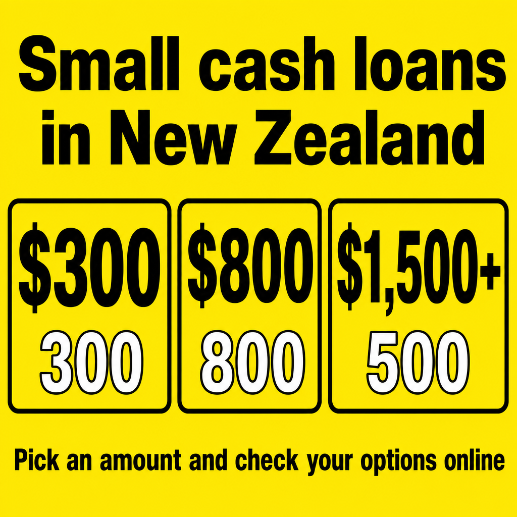Small cash loan in New Zealand. Use the amounts $300, $800, $1,500+ in the creative.