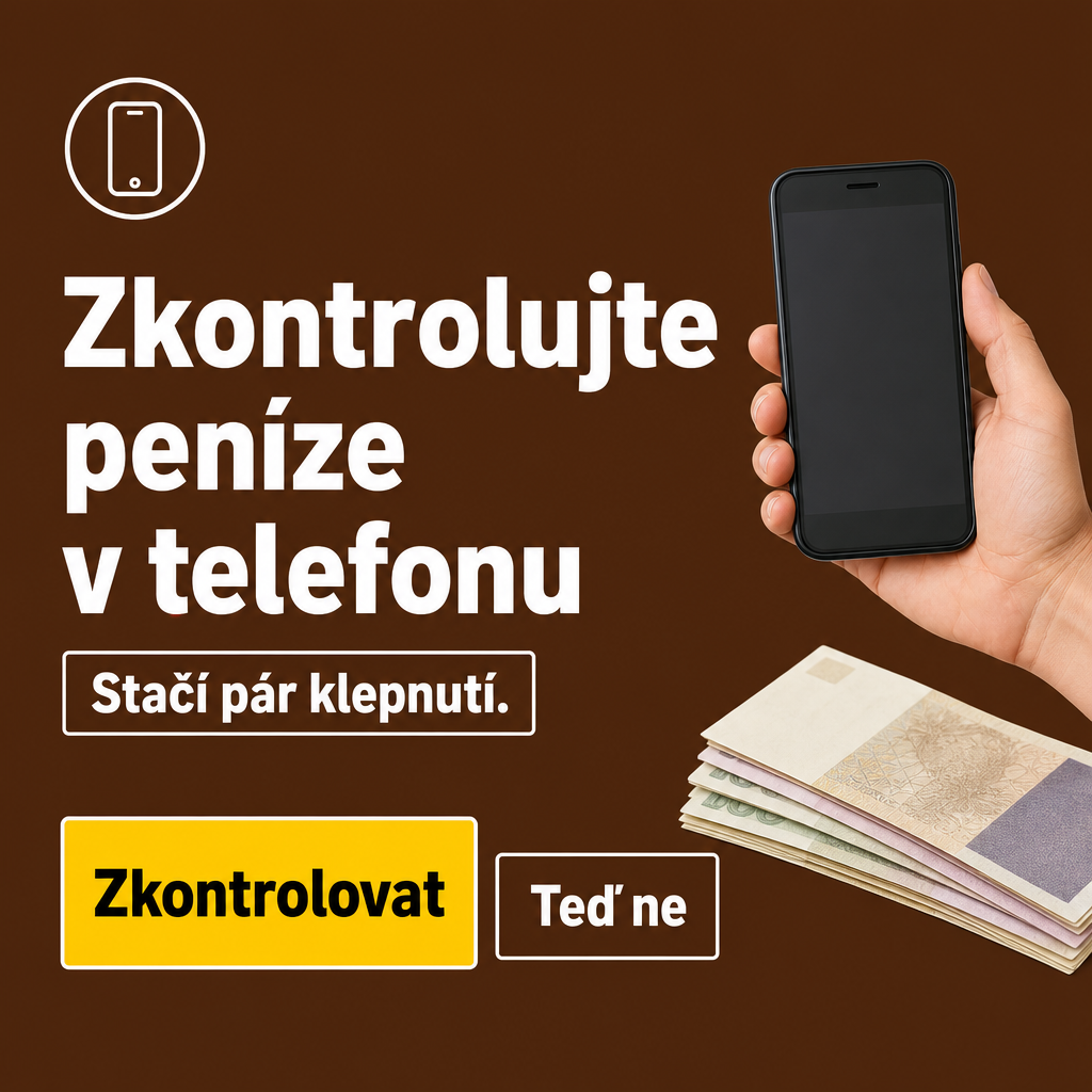 Osoba s mobilem a penězi
