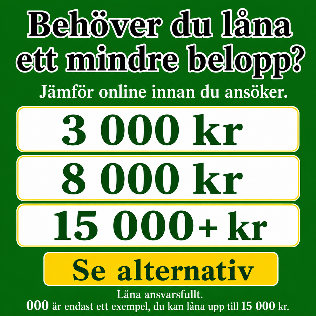 Mindre lån online i Sverige. Använd beloppen 3 000 kr, 8 000 kr, 15 000+ kr i annonsen.